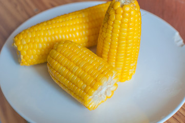 Boiled corn on white bowl