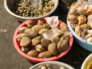 mussels