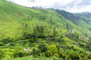 countryside at toba lake