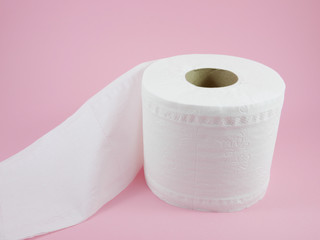 The roll of white tissue toilet paper.