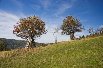 Beskid Śląski okolice Wisły