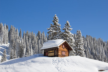 Winter in alps