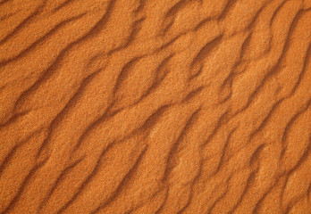 Red sand desert