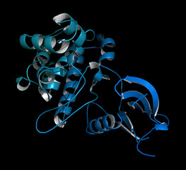 Janus kinase 1 protein. Part of JAK-STAT signalling pathway. - obrazy, fototapety, plakaty