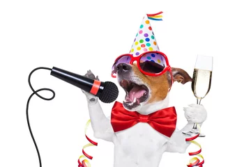 Foto auf Acrylglas Lustiger Hund Frohes neues Jahr Hund