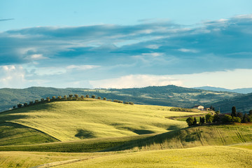 Spring landscape of fields Tuscan