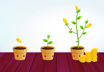 Growing money tree. Successful business strategy, money saving, investment and  pension plan concept