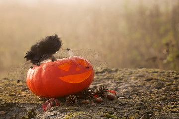 Halloween pumpkin outdoor