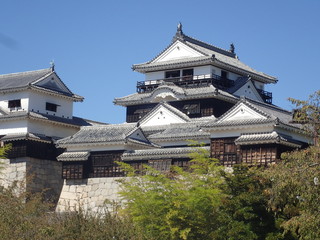 昼の松山城