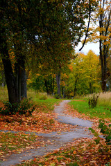 Naklejka premium Брянская осень