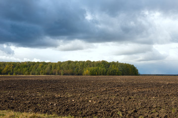 Fototapeta na wymiar a plowed field near the forest