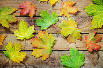 Autumn leaves over old wooden background