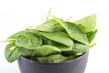 Green spinach on a white background