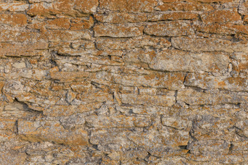 Old stone wall texture with moss