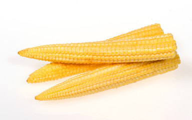 grapefruit isolated on the white background