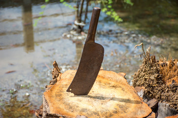 Old cleaver on Stump with flood in background