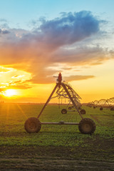 Automated farming irrigation system in sunset