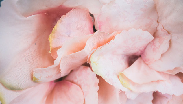 Floral wallpaper, background from flower petals © Laszlo