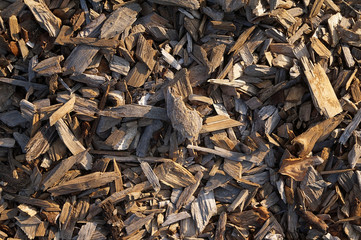 Wood shavings large