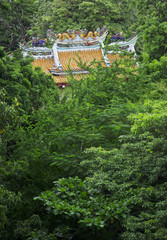 Fototapeta premium Chinese temple in the forest