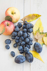Ripe Autumn Apples,Grapes and Plums Assortment