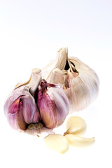 isolated garlic with some cloves on white background