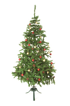 Decorated Christmas tree on white background 