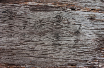 Pattern of old wood texture.