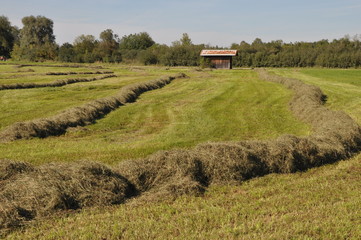 Benediktbeuern