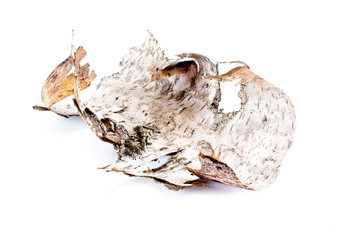 Birch bark