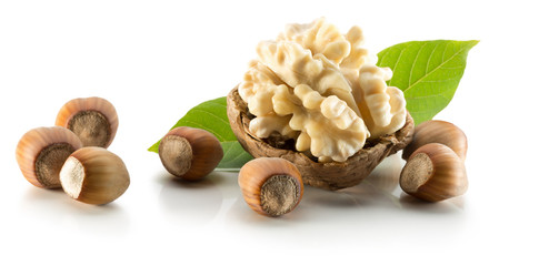 walnuts with leaves and hazel nuts isolated on the white backgro