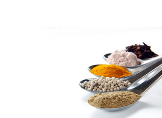 Spice and herbs in steel spoon