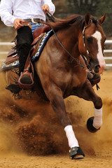 Obraz premium A front view of a rider and horse sliding in the dust.