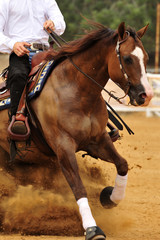 Fototapeta premium A close-up view of a rider and horse sliding in the dust.