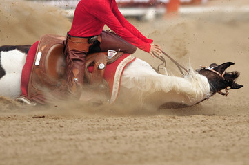 The fall of the horse with a rider into the sand
