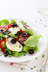 fresh caprese salad with olives
