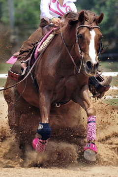 The close-up view of a rider sliding a horse in the sand.