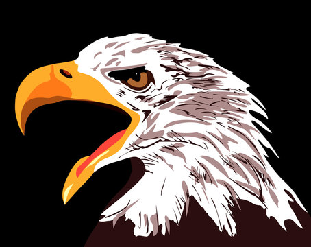The head of an eagle on a black background. Vector illustration.