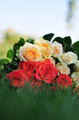 festive bouquet of roses lying on the grass on a blurred backgro