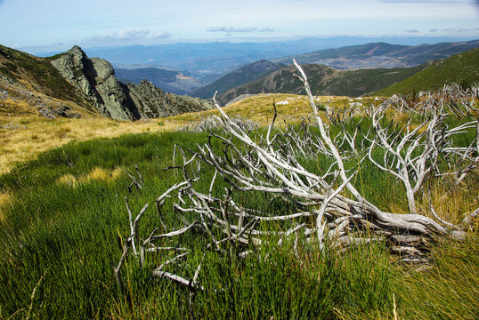 Trail leading to Pena Trevinca