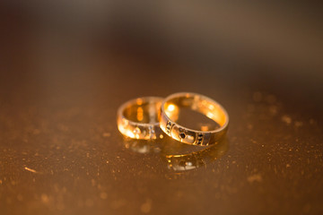 Wedding rings in gold and diamonds