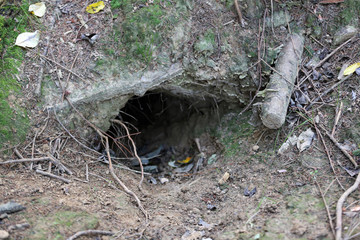 Dachsbau © Klaus Eppele