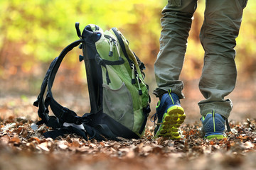 backpack in the woods concept travel tourism
