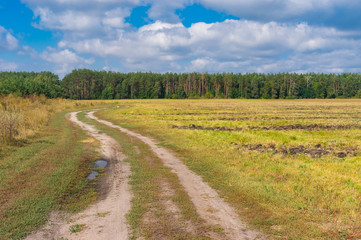 Fototapeta na wymiar Ukrainian country landscape with earth road to forest at late summer