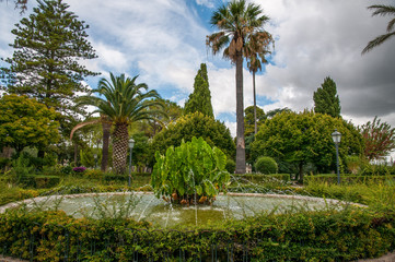 Obraz premium The garden of the families in the fall 