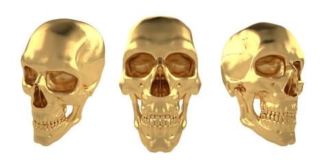 Scull34