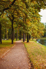 Fototapeta na wymiar Track in autumn park