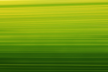 blurred green organic texture