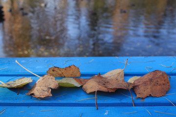 bench in the autumn park