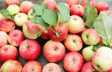 Fallen red apples